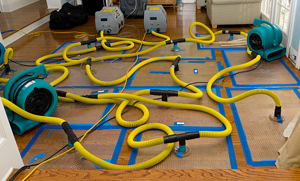 Professional Burst Pipe Water Damage technician working in Sumner, MI